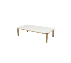 Aspect coffee table, 120x60 cm