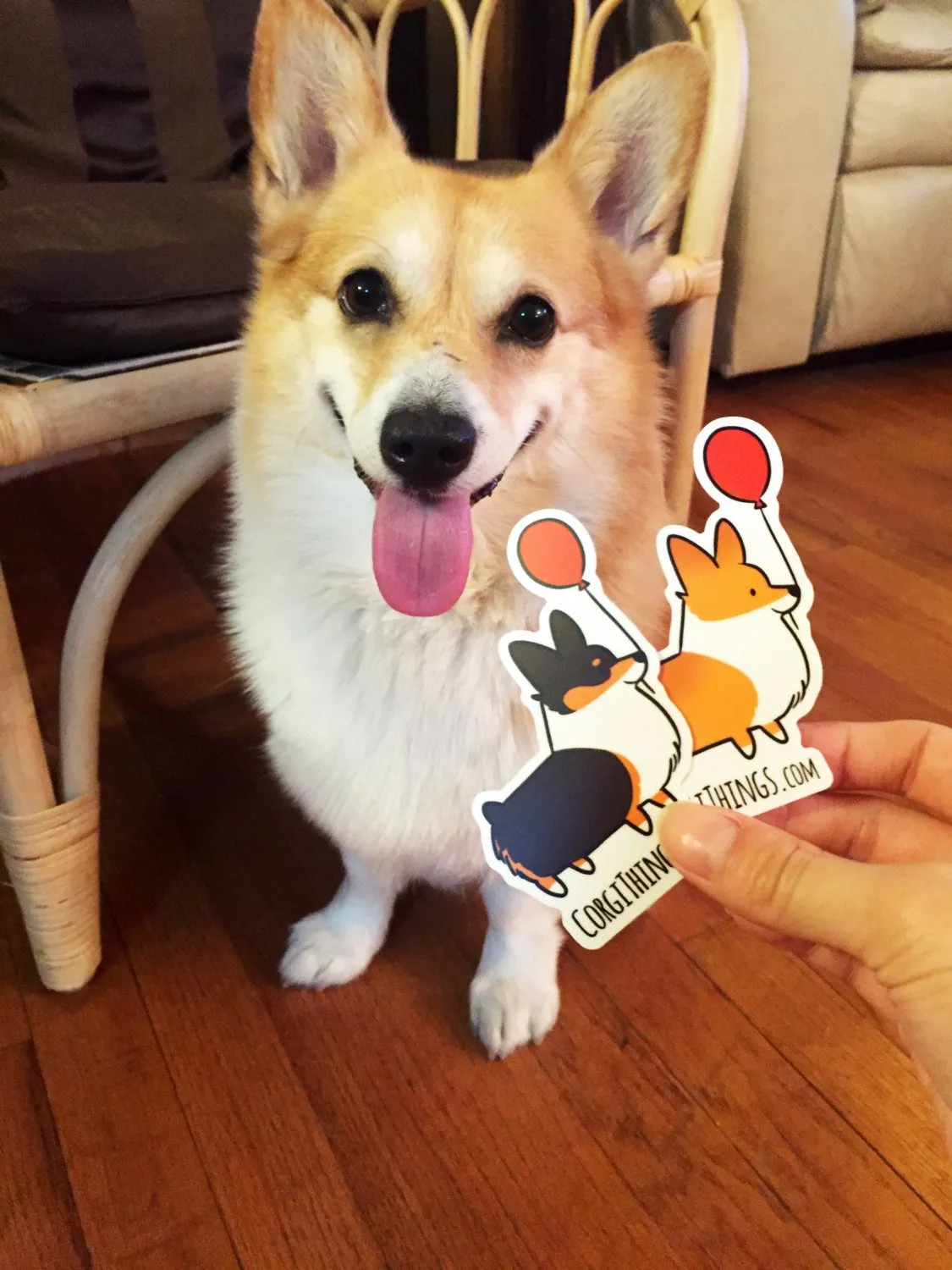 Corgi Things Vinyl Sticker (Tricolor Pembroke)