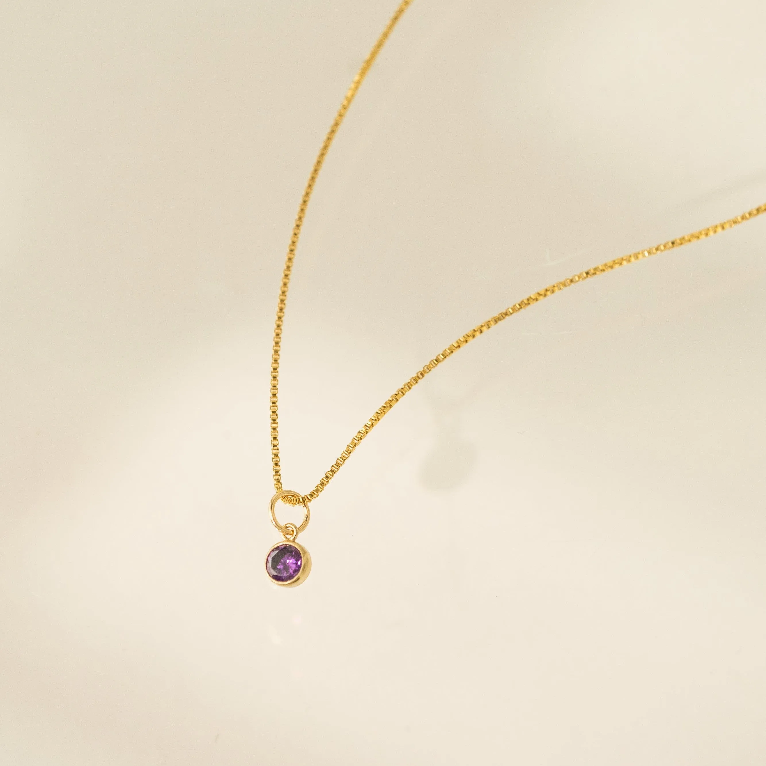 February Birthstone Gold-Filled Necklace