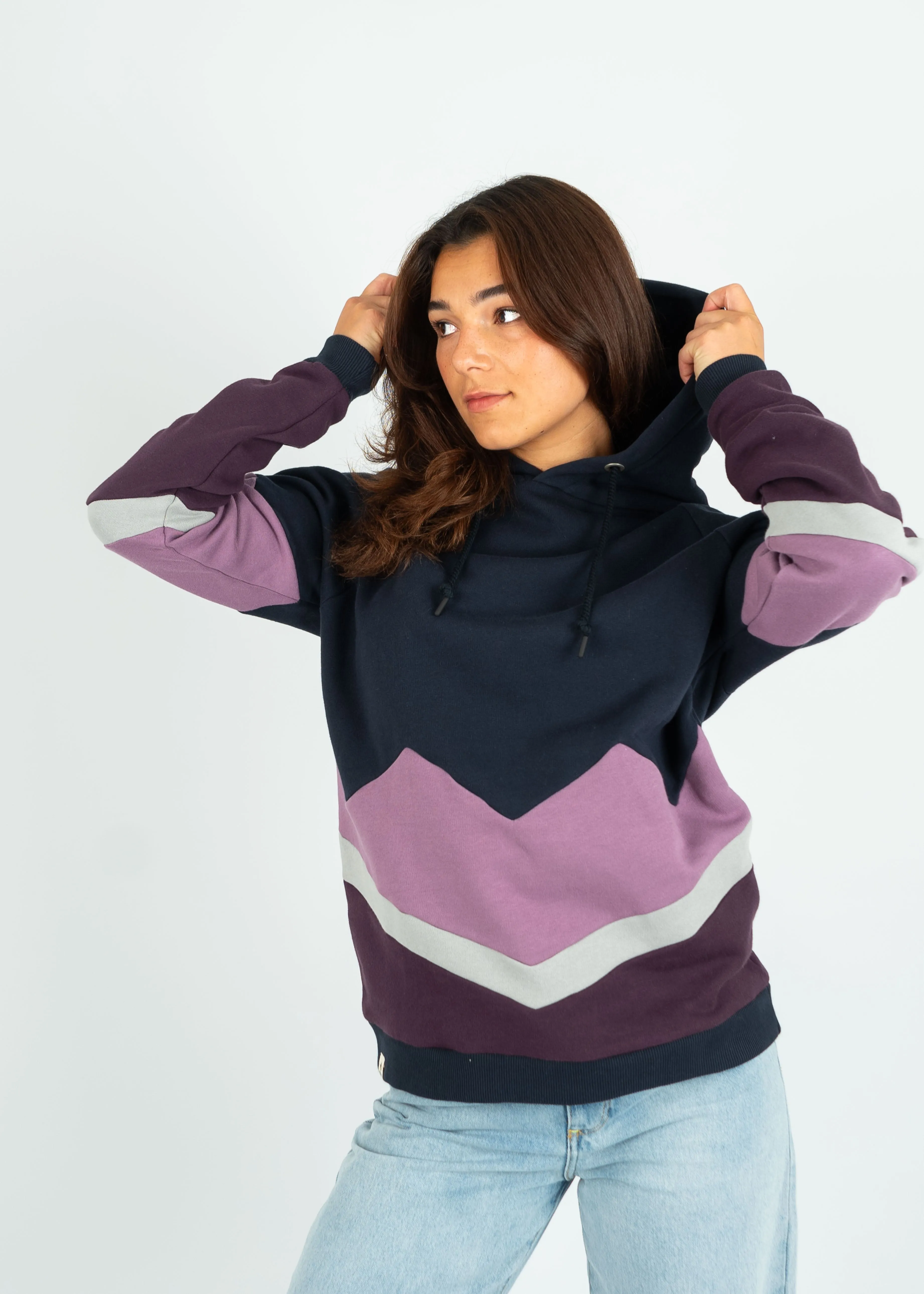 Hoodie BEEVERN Navy/Grapeade