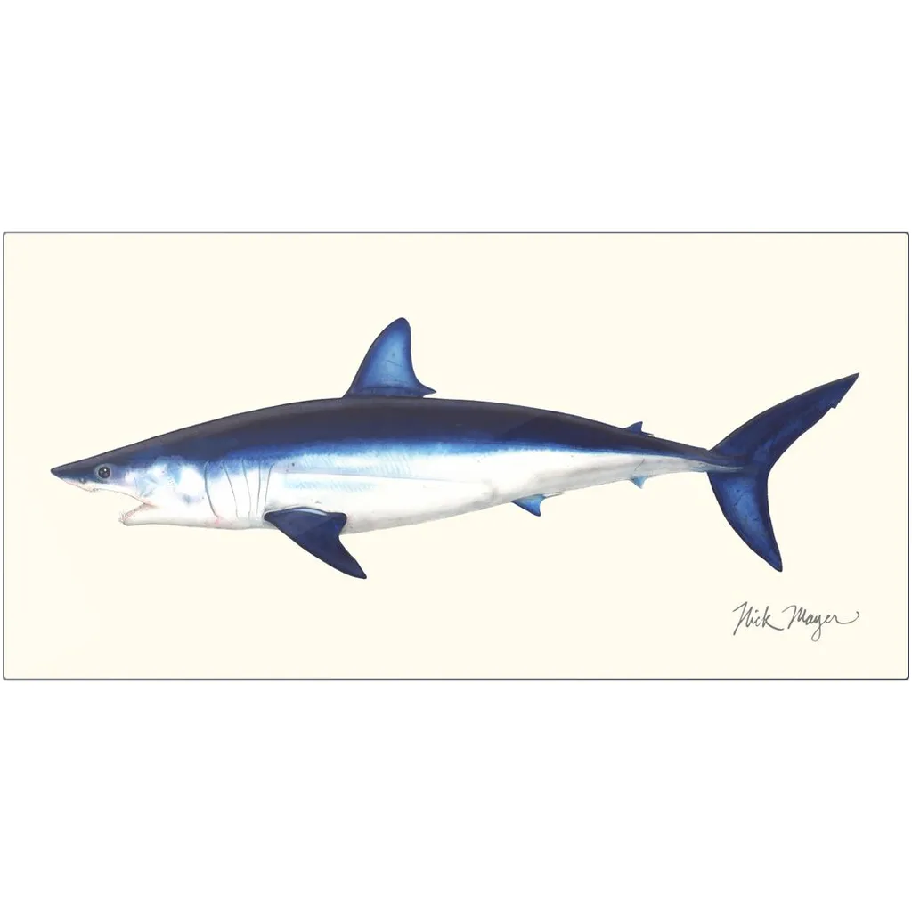 Mako Shark Metal Print