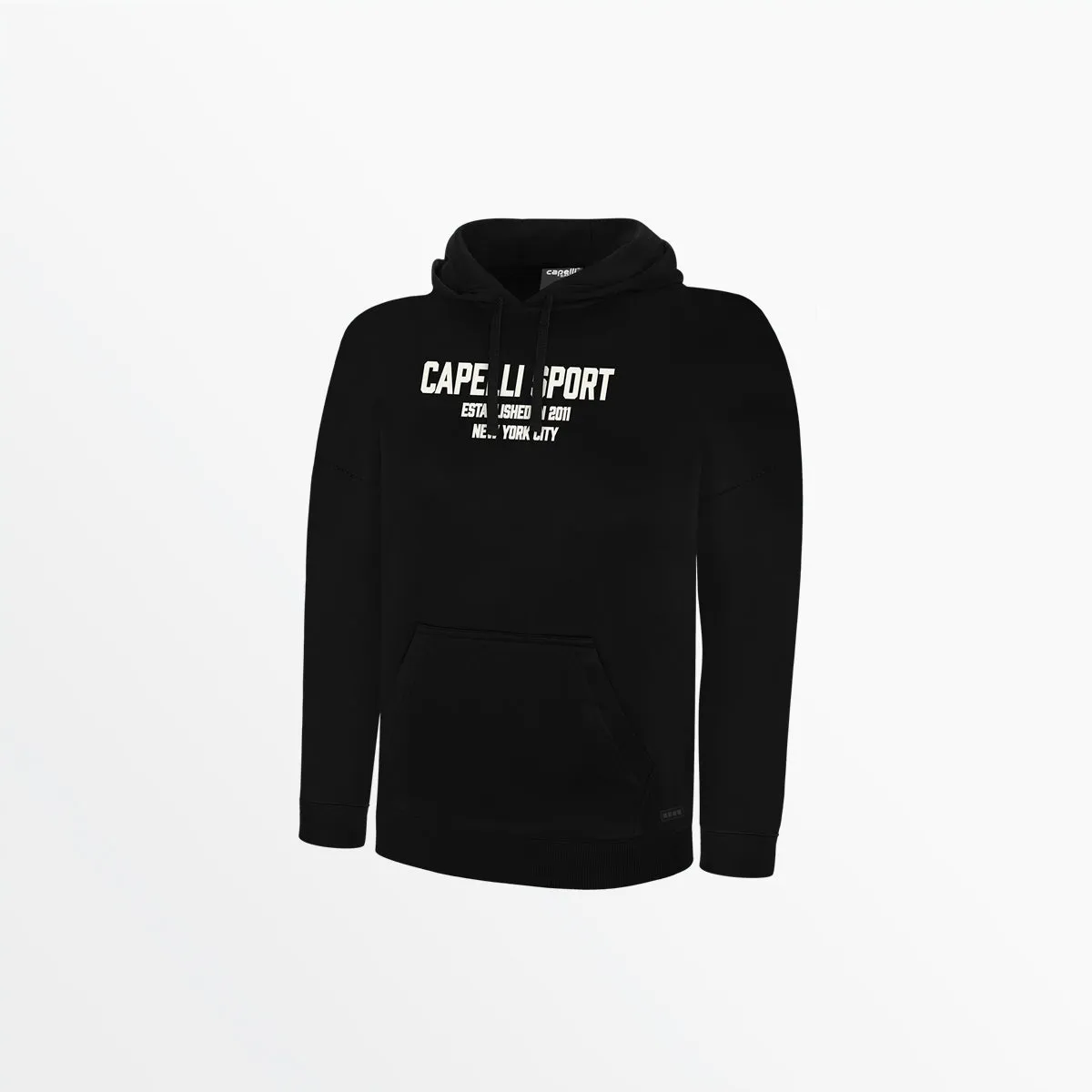 MEN'S CS ESTABLISHED PULLOVER HOODIE