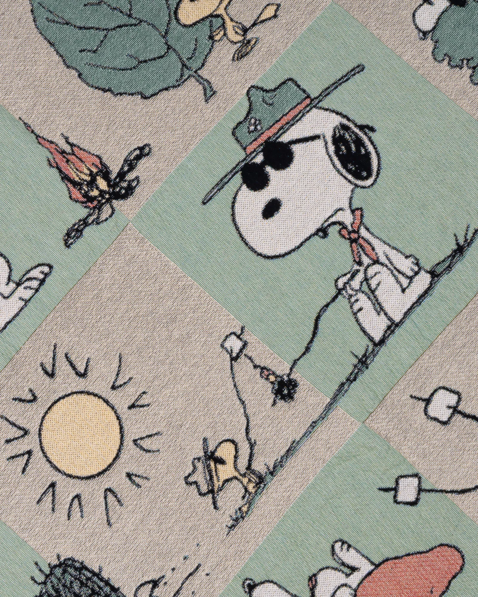 Peanuts x Parks Project Woven Blanket