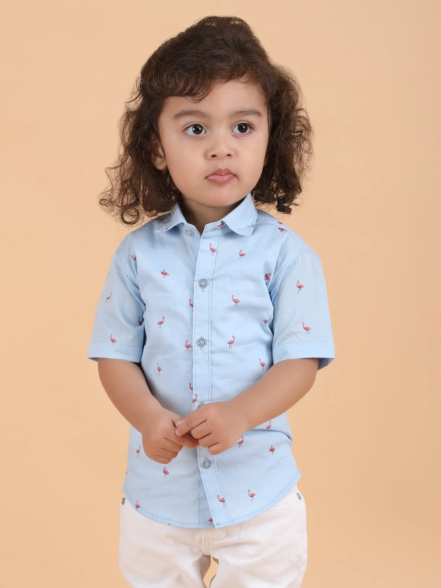 Polka Tots Half Sleeves Flamingo print Shirt - Blue