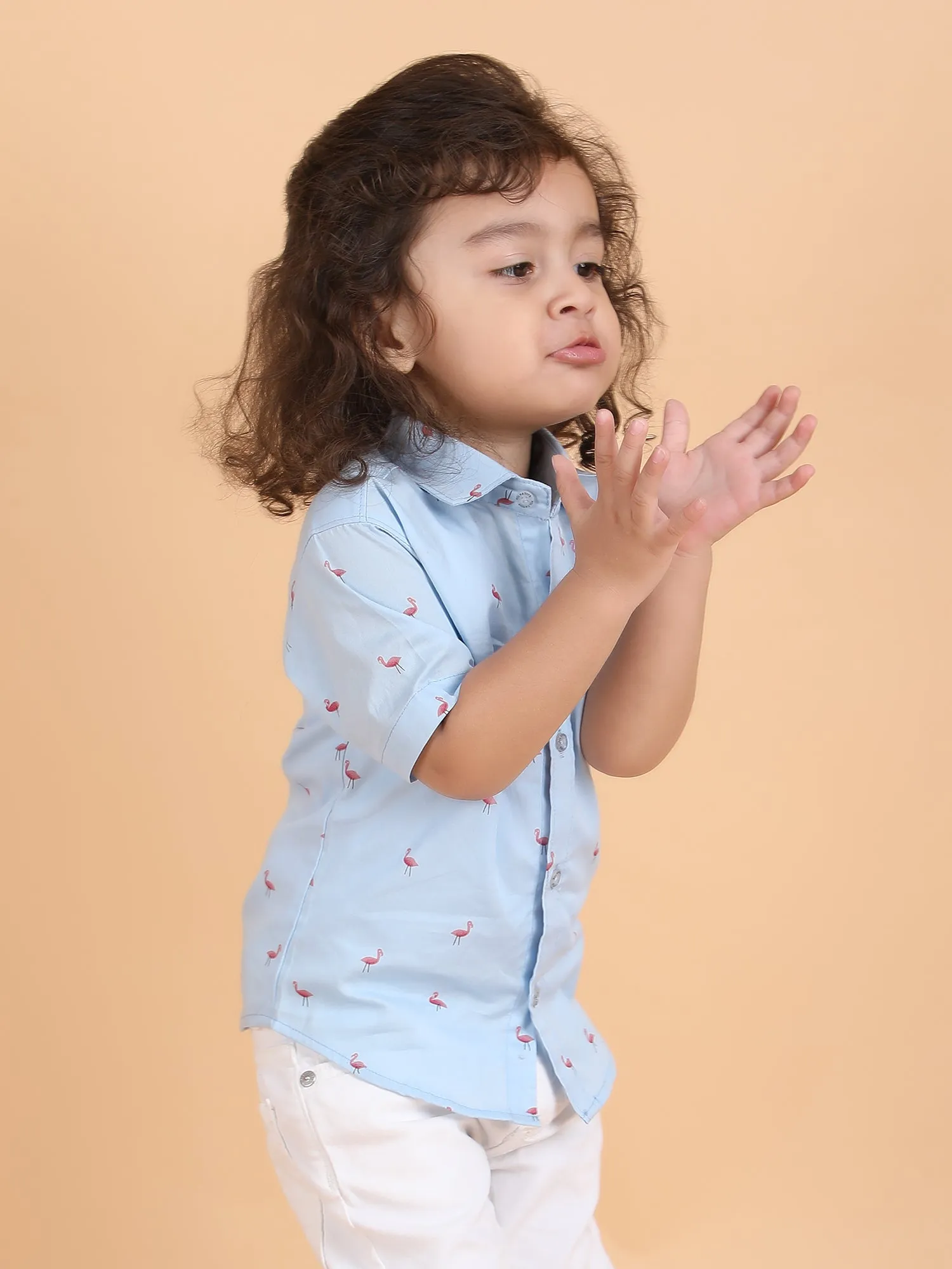 Polka Tots Half Sleeves Flamingo print Shirt - Blue